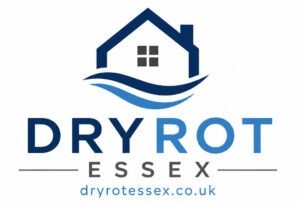 dry rot essex