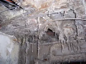 Dry Rot Essex areas we cover